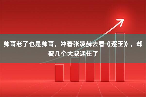 帅哥老了也是帅哥，冲着张凌赫去看《逐玉》，却被几个大叔迷住了