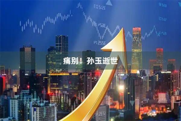 痛别！孙玉逝世