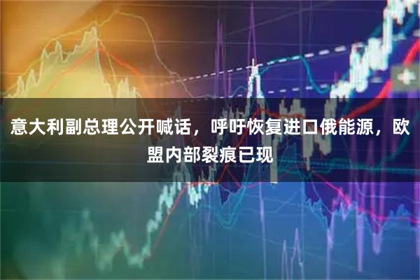 意大利副总理公开喊话，呼吁恢复进口俄能源，欧盟内部裂痕已现