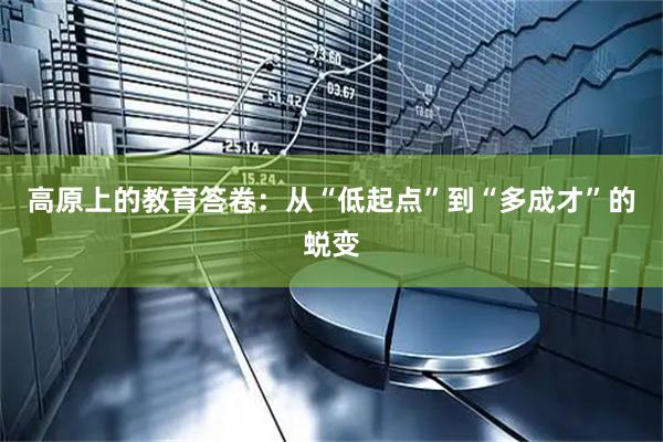 高原上的教育答卷：从“低起点”到“多成才”的蜕变