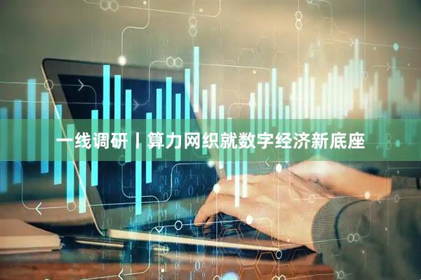 一线调研丨算力网织就数字经济新底座