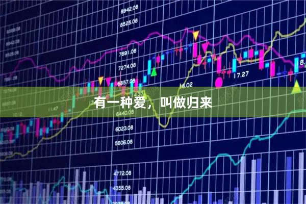 有一种爱，叫做归来